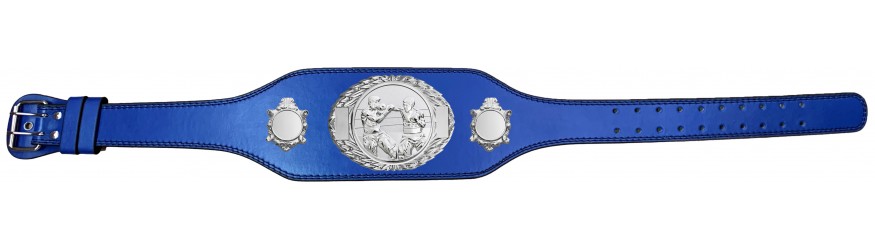 BOXING CHAMPIONSHIP BELT-BUD295/S/BOXS-4 COLOURS